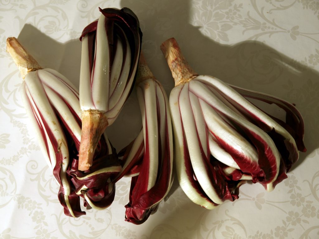 Radicchio
