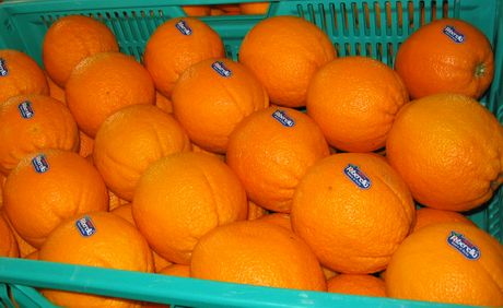 Italian Oranges