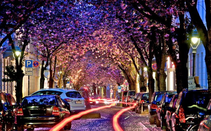 Heerstraße, Bonn, Germany