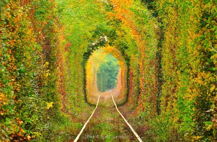 Tunnel of Love, Romania